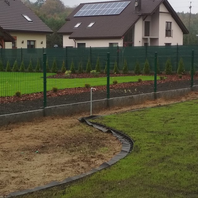 Zakładanie ogrodu Opławiec - trawnik z siewu kiełkowanie nasion.